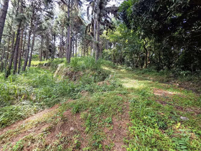 Venta de terreno en Sorá Chame