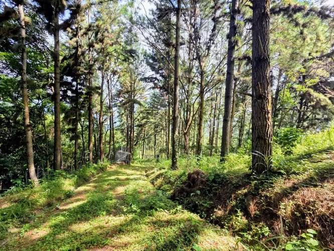 Venta de terreno en Sorá Chame