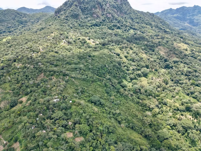 CAPIRA FINCA EN CERRO TRINIDAD EN VENTA