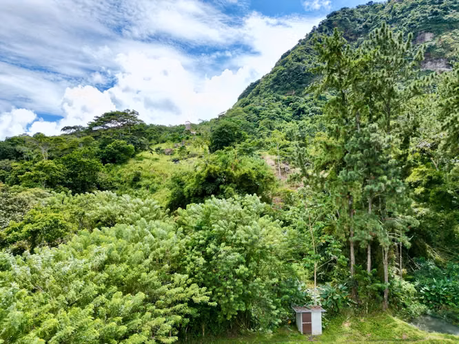 CAPIRA FINCA EN CERRO TRINIDAD EN VENTA
