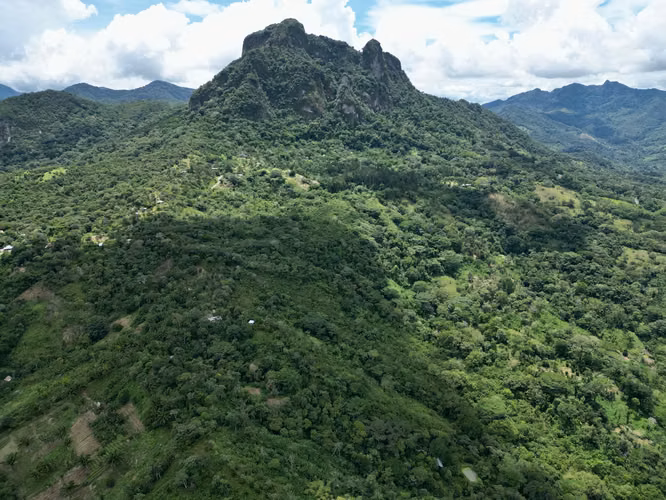 CAPIRA FINCA EN CERRO TRINIDAD EN VENTA
