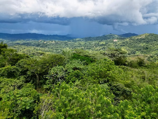 CAPIRA FINCA EN CERRO TRINIDAD EN VENTA