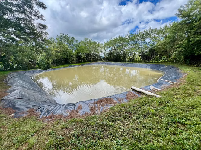 CAPIRA FINCA EN CERRO TRINIDAD EN VENTA