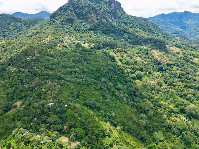 CAPIRA FINCA EN CERRO TRINIDAD EN VENTA