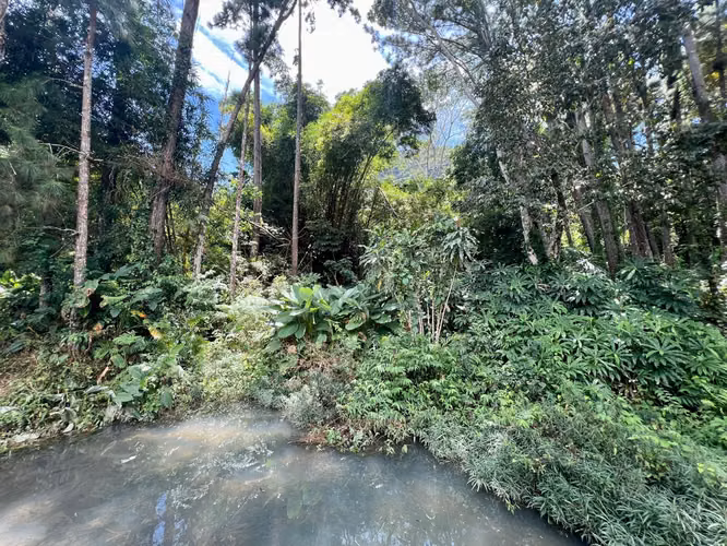 CAPIRA FINCA EN CERRO TRINIDAD EN VENTA