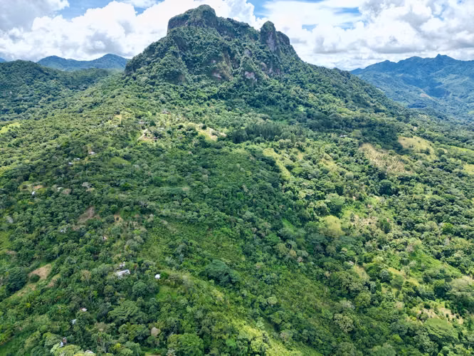 CAPIRA FINCA EN CERRO TRINIDAD EN VENTA