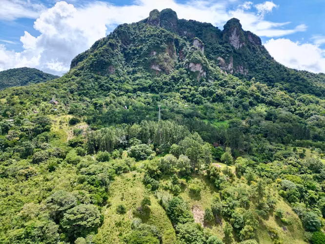 CAPIRA FINCA EN CERRO TRINIDAD EN VENTA