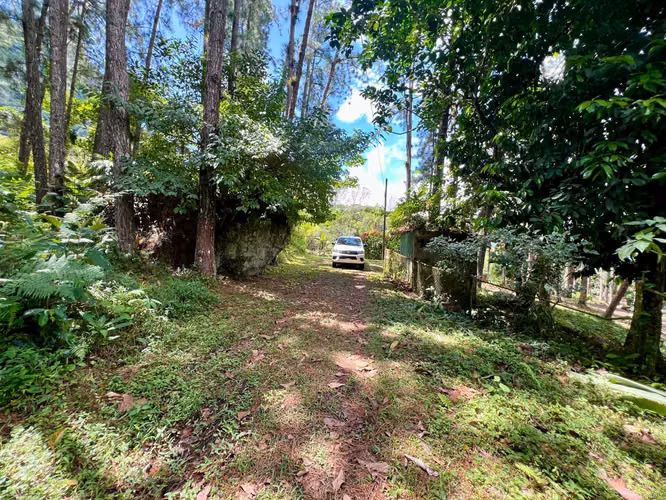 CAPIRA FINCA EN CERRO TRINIDAD EN VENTA