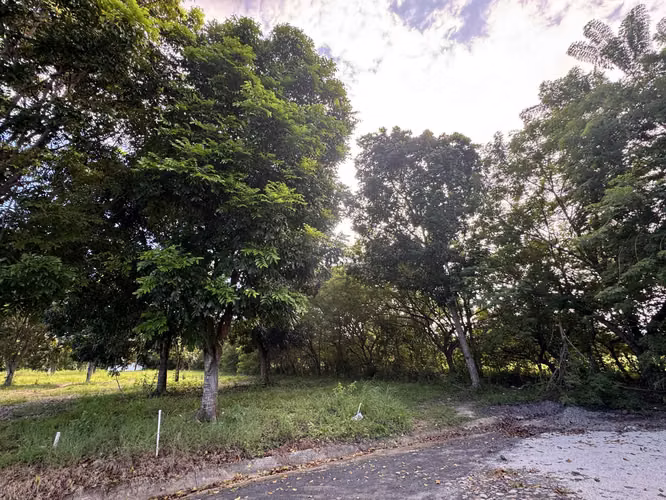 SE VENDE - Lote en  PH La Colina CHAME - PRG-02