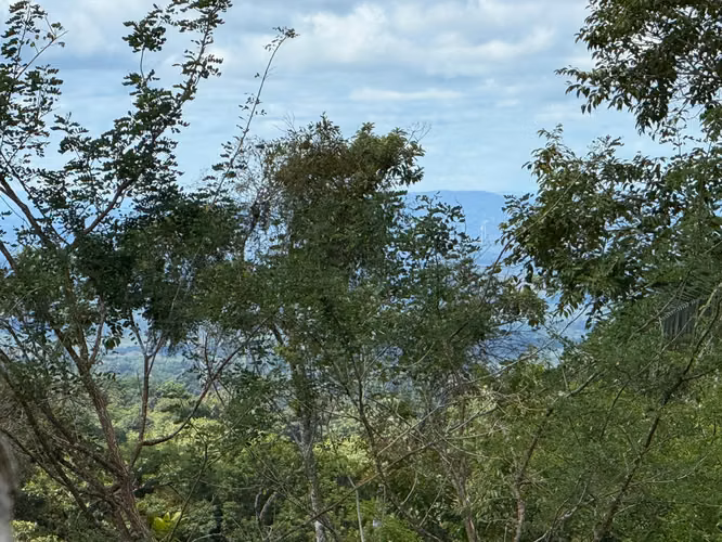 Venta de Terreno en El Valle, La Estancia, 8,386 m²