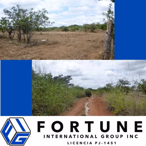 TERRENO VENTA EN RIO GRANDE DE PENONOMÉ - Imagen 3