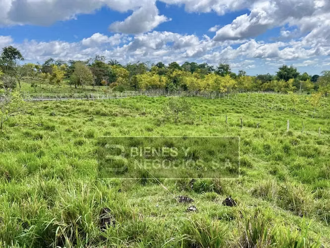 Terreno en Chiriqui, Bugaba, 4.9 Hectareas en Bongo con casa