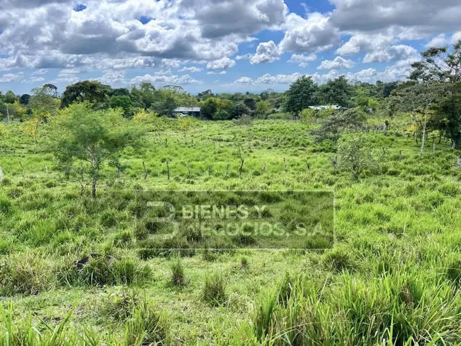 Terreno en Chiriqui, Bugaba, 4.9 Hectareas en Bongo con casa