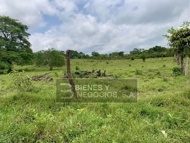 Terreno en Chiriqui, Bugaba, 4.9 Hectareas en Bongo con casa
