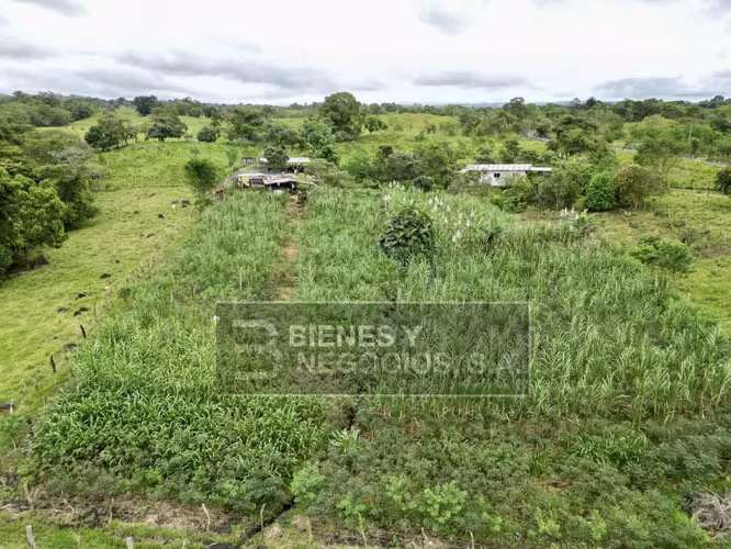 Terreno en Chiriqui, Bugaba, 4.9 Hectareas en Bongo con casa