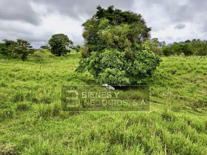 Terreno en Chiriqui, Bugaba, 4.9 Hectareas en Bongo con casa