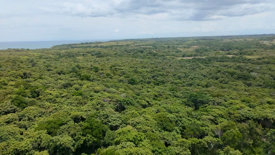 Terreno frente al mar en venta - El Higo, San Carlos