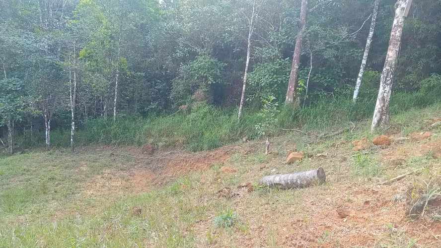 CERRO AZUL TERRENO EN VENTA