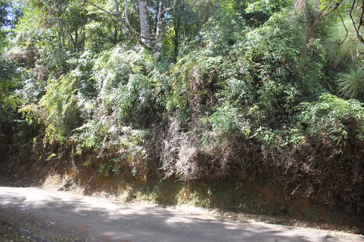 CERRO AZUL TERRENO EN VENTA