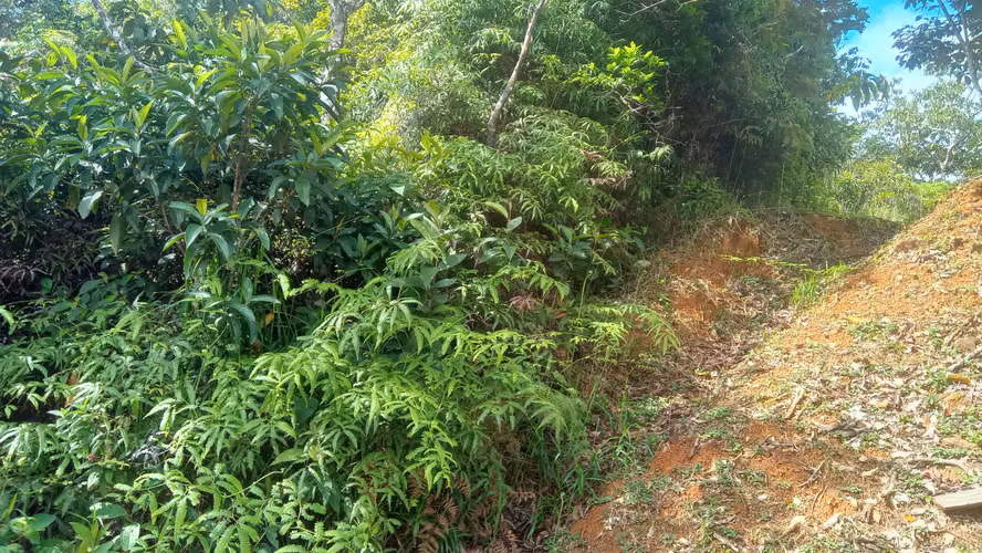 CERRO AZUL TERRENO EN VENTA