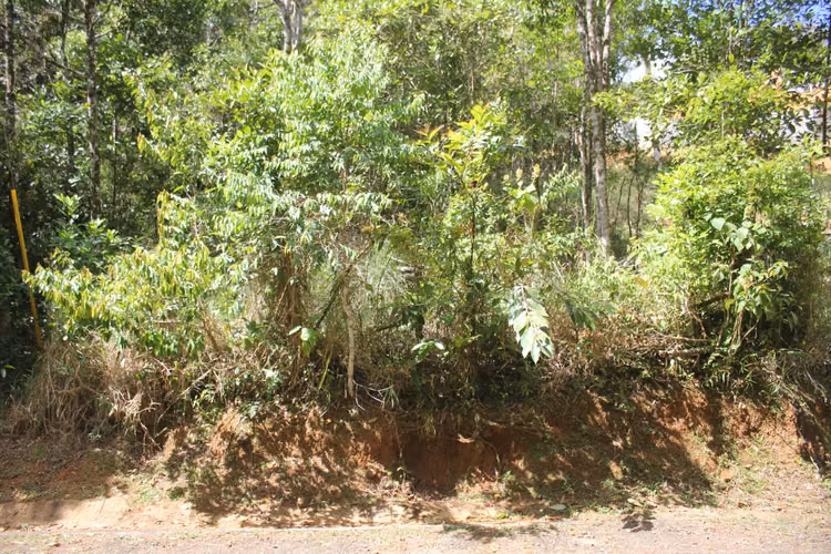 CERRO AZUL TERRENO EN VENTA