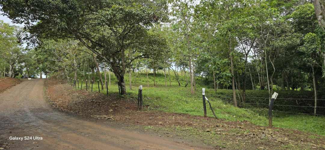 ¡OPORTUNIDAD UNICA! Finca06 de 2,501M" a $18mil. Financ. SIN INTERES.