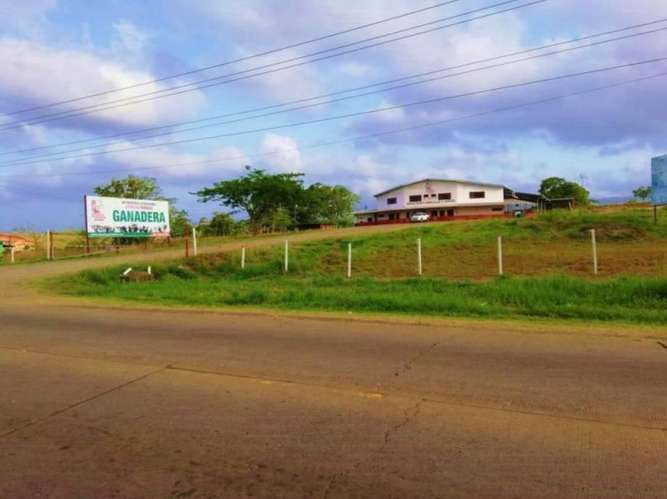 OPORTUNIDAD DE INVERSIÓN EN CHEPO – 50 HECTÁREAS SOBRE LA INTERAMERICANA