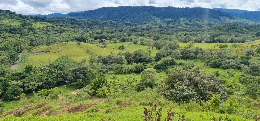 Preciosa Finca titulada de 63,7 hectáreas tituladas en Portobelo, Colón