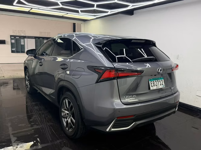 Lexus NX 300
