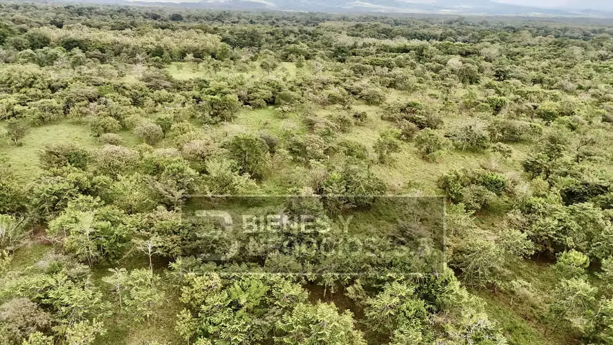 Terreno en Boquete, 17.7 hectáreas en el Frances