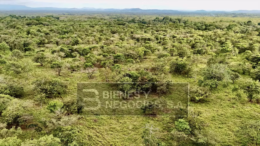 Terreno en Boquete, 17.7 hectáreas en el Frances