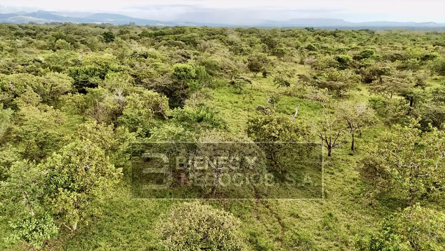 Terreno en Boquete, 17.7 hectáreas en el Frances