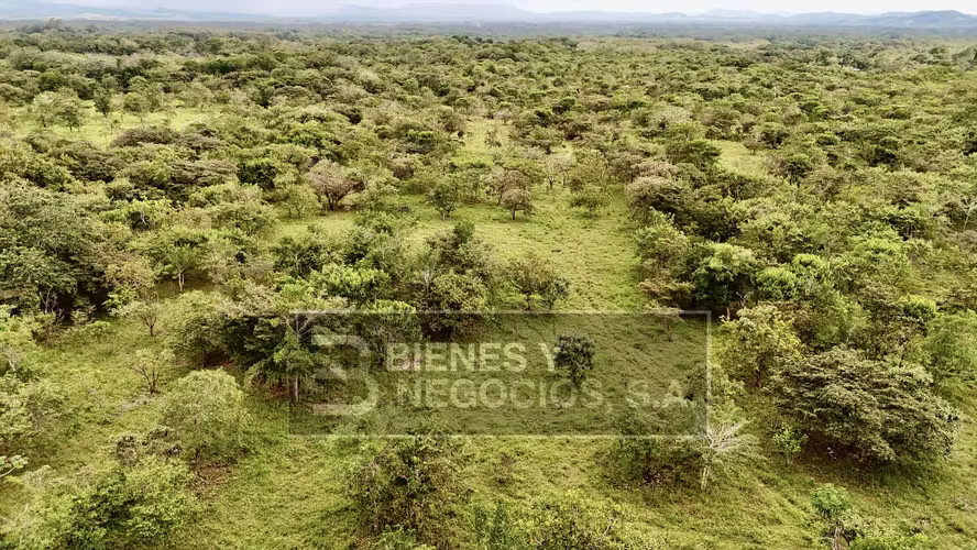 Terreno en Boquete, 17.7 hectáreas en el Frances