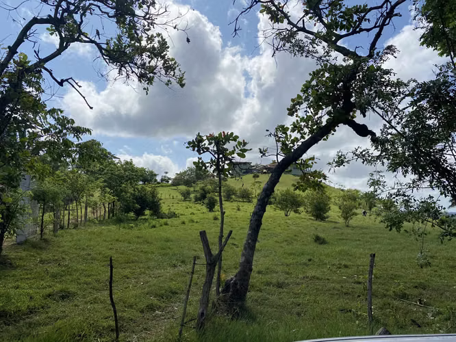 ALQUILO O VENDO TERRENO EN LAS YAYAS LA CHORRERA