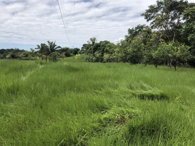ALQUILO O VENDO TERRENO EN LAS YAYAS LA CHORRERA