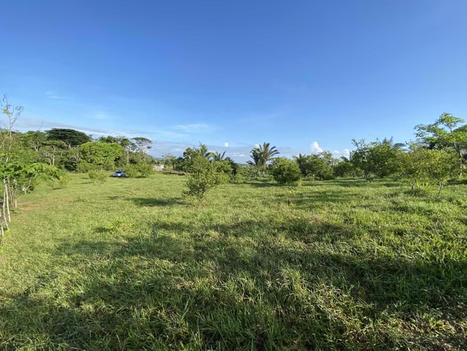 ALQUILO O VENDO TERRENO EN LAS YAYAS LA CHORRERA