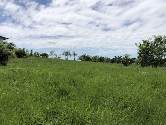 ALQUILO O VENDO TERRENO EN LAS YAYAS LA CHORRERA