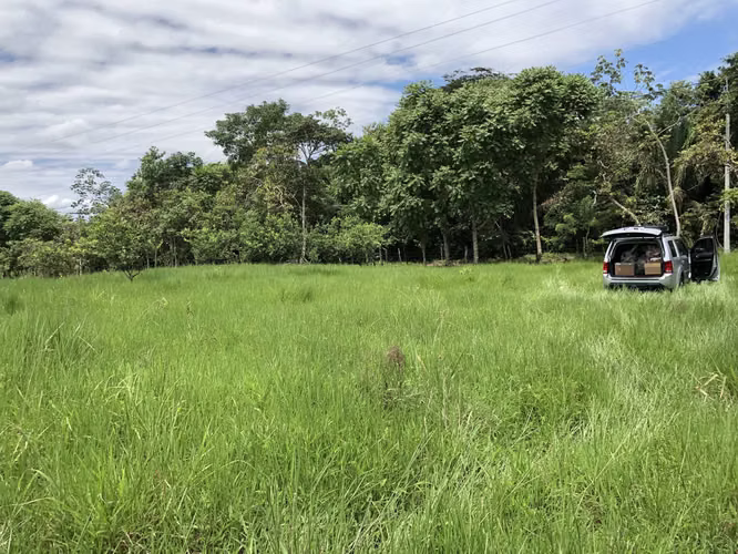 ALQUILO O VENDO TERRENO EN LAS YAYAS LA CHORRERA
