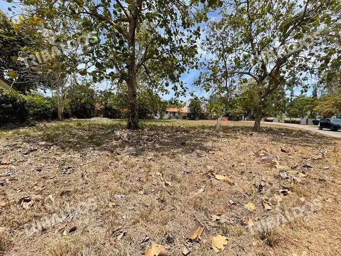 Venta de Terreno con acceso al mar en Rio Hato - Imagen 9