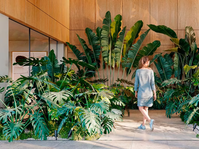 Blau - Costa del Este - Imagen 2