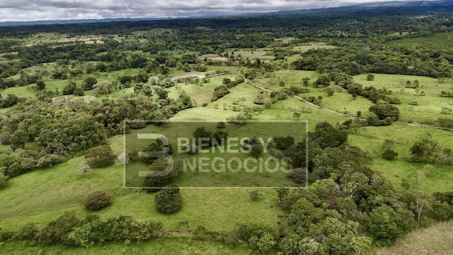 Finca en Chiriqui, Dolega, 89.8 hectáreas -Lecheria en Rovira