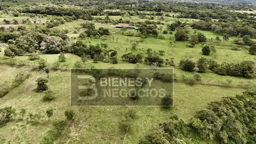Finca en Chiriqui, Dolega, 89.8 hectáreas -Lecheria en Rovira