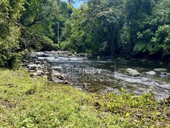 Finca en Chiriqui, Dolega, 89.8 hectáreas -Lecheria en Rovira