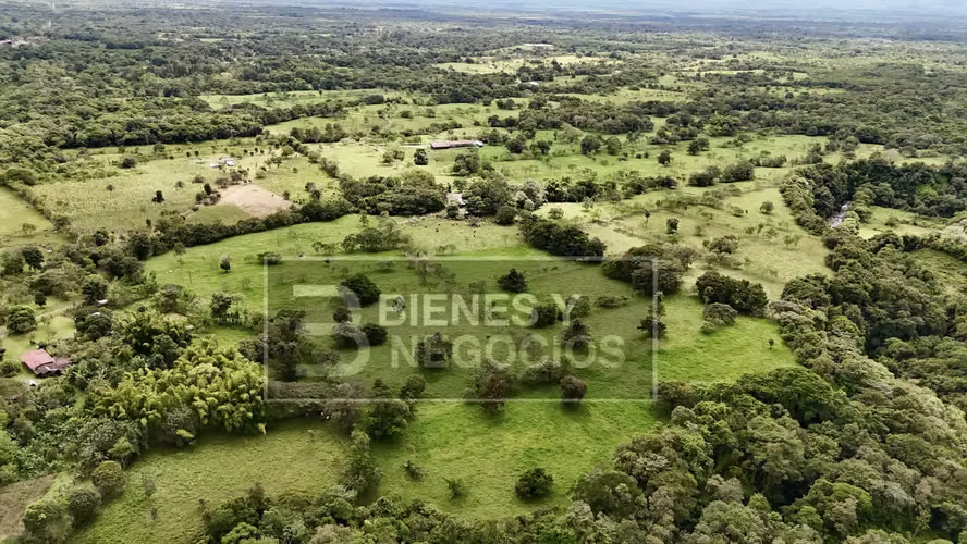 Finca en Chiriqui, Dolega, 89.8 hectáreas -Lecheria en Rovira