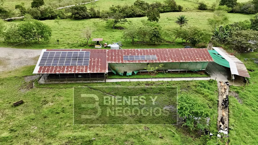 Finca en Chiriqui, Dolega, 89.8 hectáreas -Lecheria en Rovira