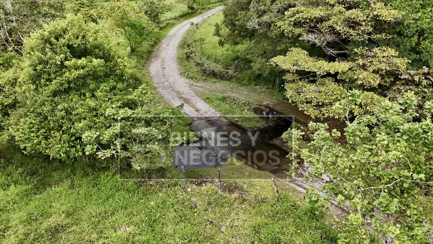 Finca en Chiriqui, Dolega, 89.8 hectáreas -Lecheria en Rovira