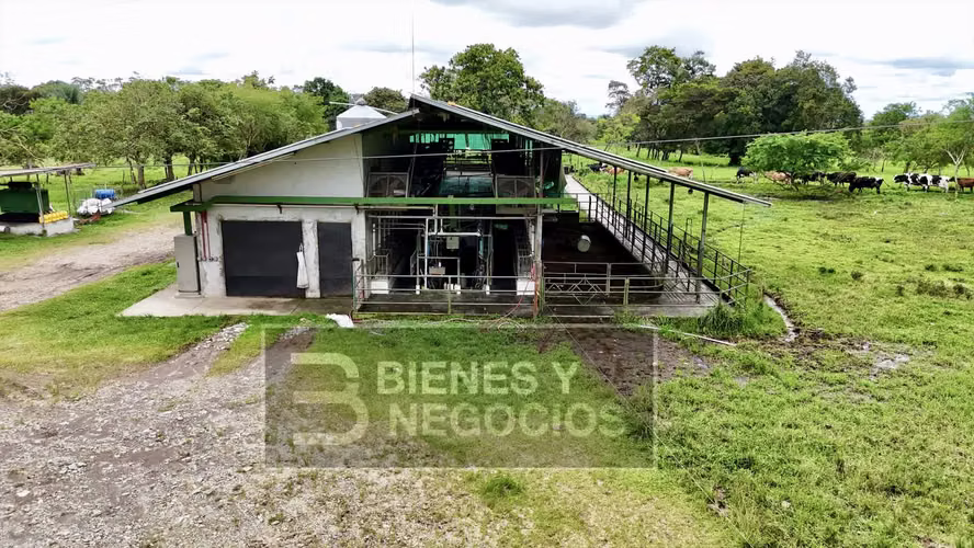 Finca en Chiriqui, Dolega, 89.8 hectáreas -Lecheria en Rovira