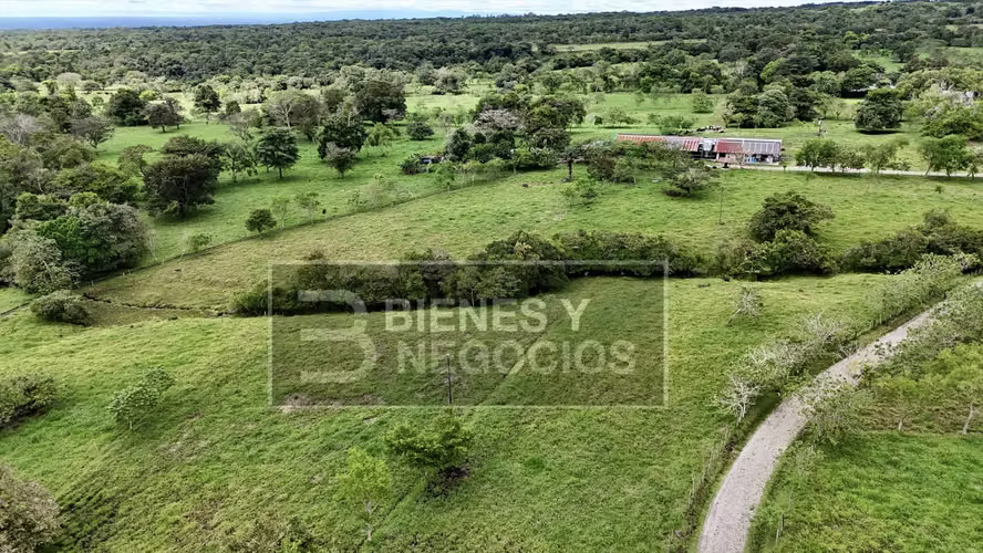 Finca en Chiriqui, Dolega, 89.8 hectáreas -Lecheria en Rovira