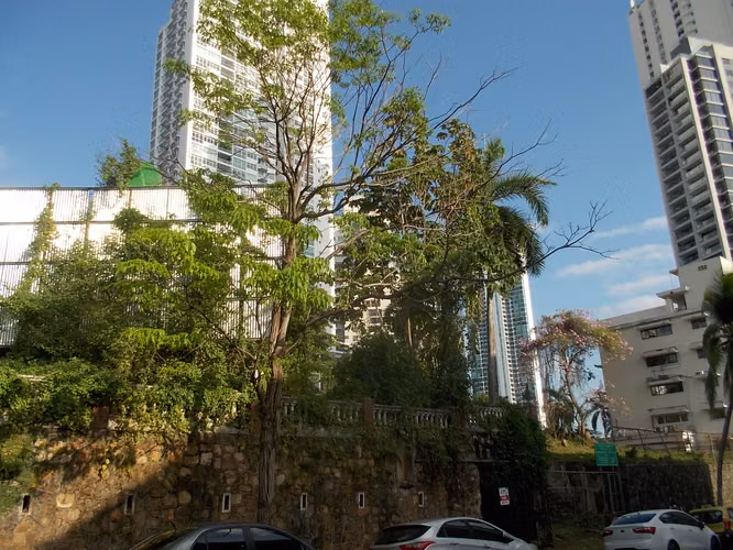 Se vende Terreno en Bella Vista