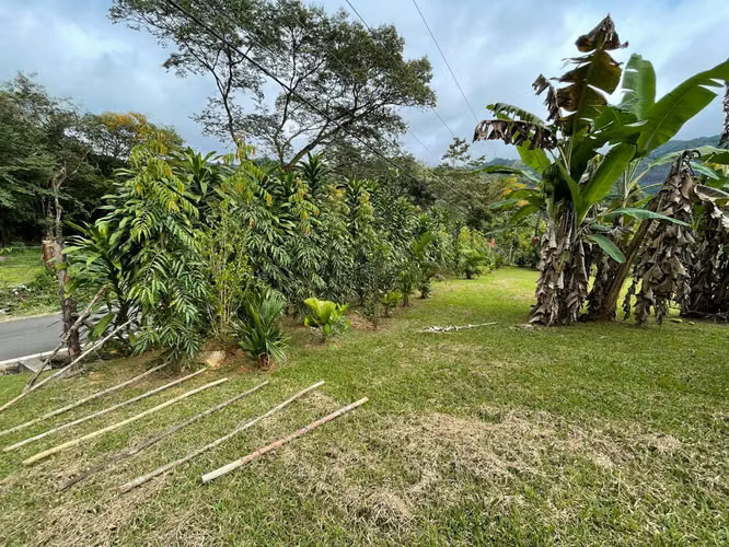 Terreno en Venta a Pie de Calle en Bejuco